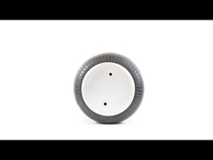 W01-358-6910 Air Springs FD200-19 320