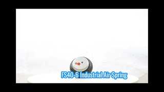 Air Spring G1/8 FS 40-6 untuk Keperluan Industri